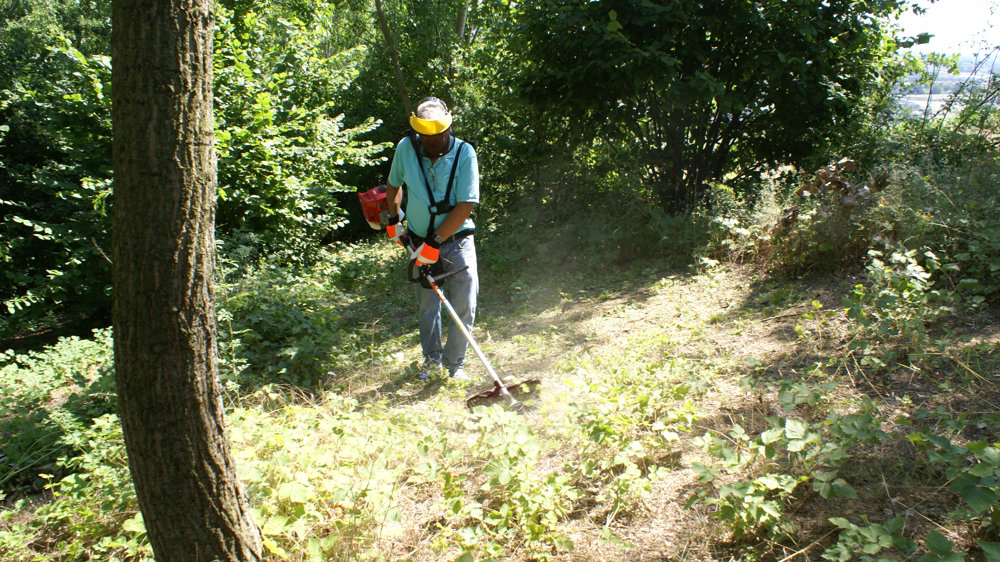 À propos d’Attila Garden Products