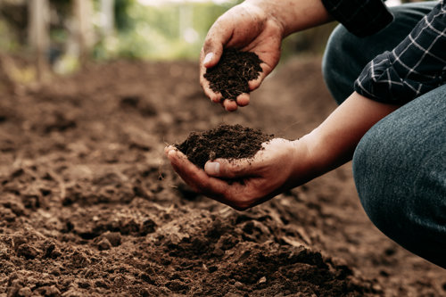 The science of soil: why improving the soil you're working on starts with understanding it