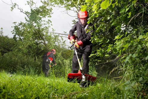 BUY THE BEST BRUSHCUTTER: commercial brushcutter buyer’s guide