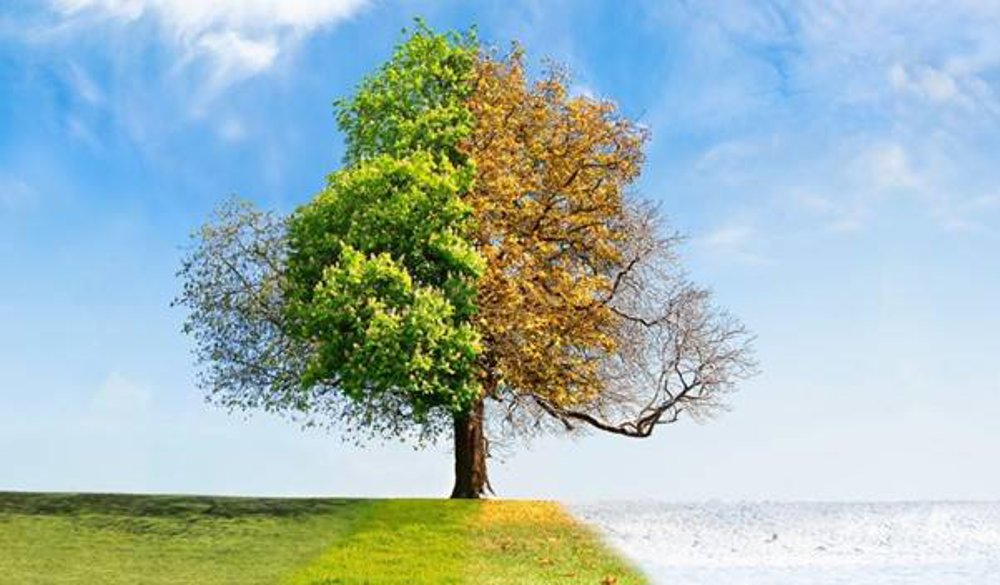 Shifting Seasons - How will seasonal changes affect European landscape professionals?