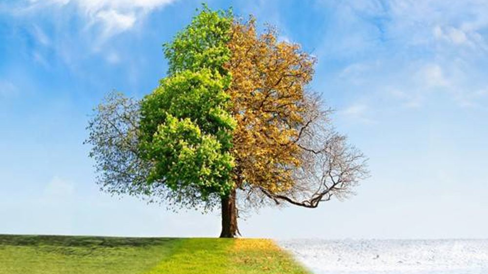 Shifting Seasons - How will seasonal changes affect European landscape professionals?