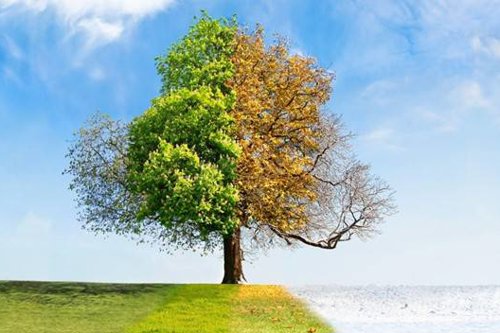Shifting Seasons - How will seasonal changes affect European landscape professionals?