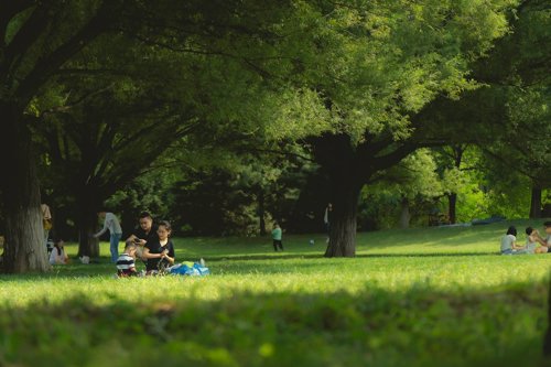 Benefits of green spaces and landscaping for people and the planet