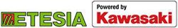About Etesia