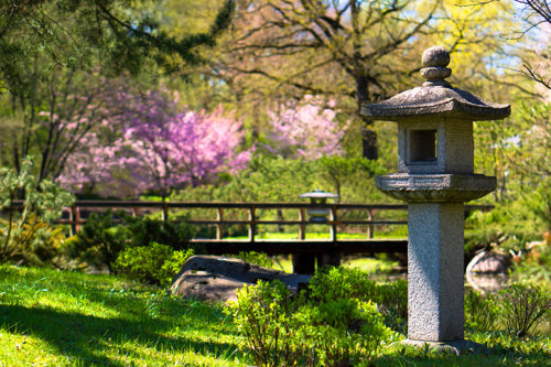 Landscaping trends for 2025