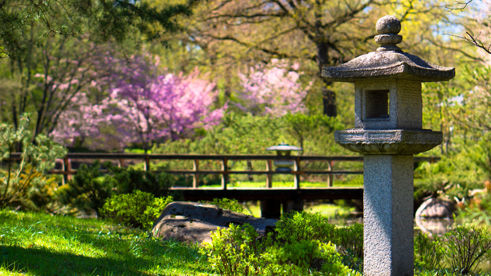 Landscaping trends for 2025
