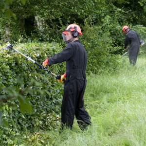 A productivity boost