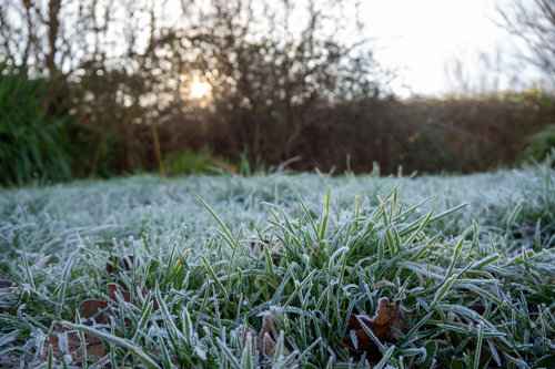 How to weatherproof a lawn and protect it from flood, frost and drought