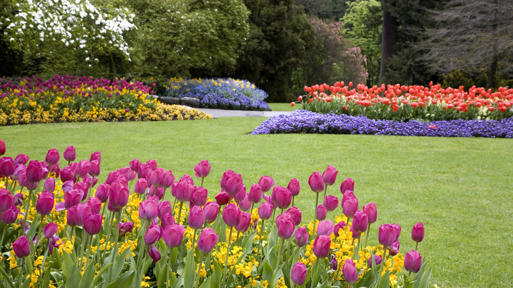 La guida completa alla cura del prato in primavera