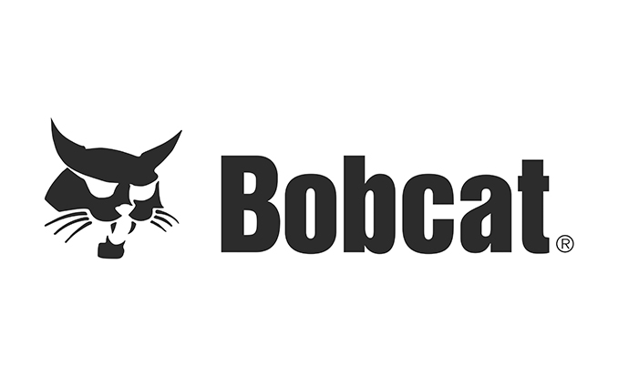 Bobcat