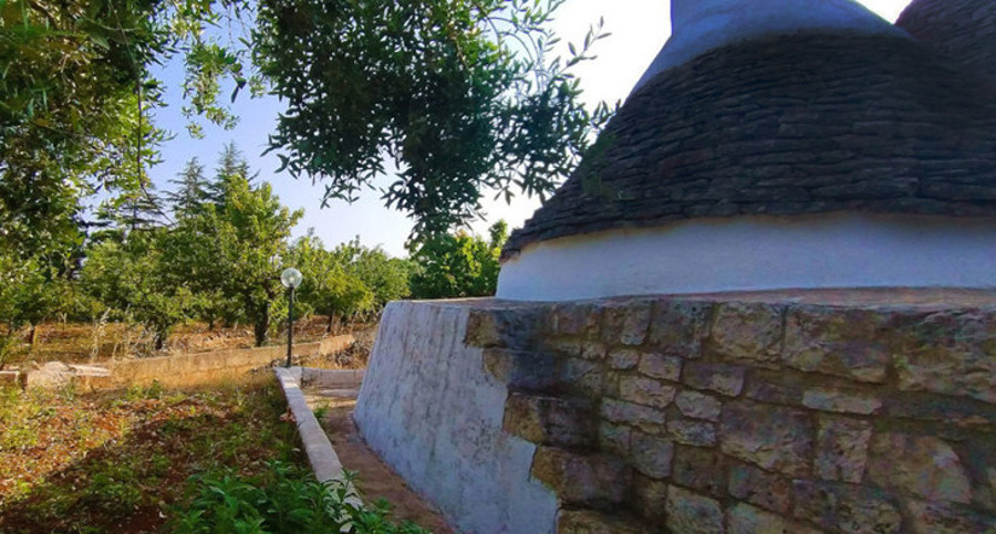 Powered by Kawasaki brushcutter projects