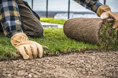 The pros and cons of natural grass vs artificial grass
