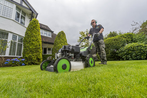 How to become a professional gardener