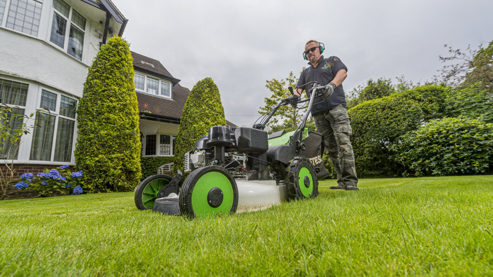 How to become a professional gardener
